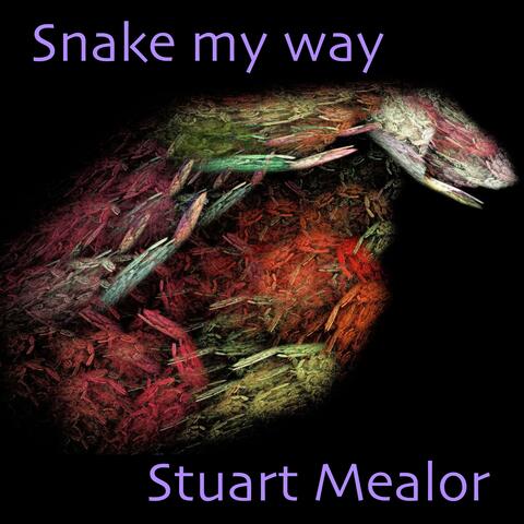 Snake my way
