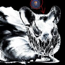 Ща мы тапнем хомяка