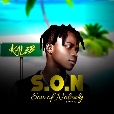 S.O.N (Son Of Nobody)