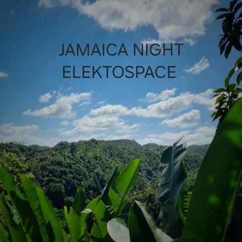 Jamaica Night