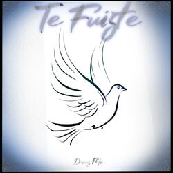 Te Fuiste