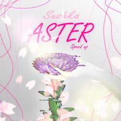 Aster