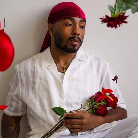 Where Do Fallen Roses Go?