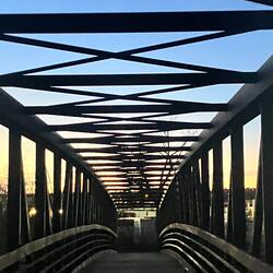 Sin that Lives in Fire