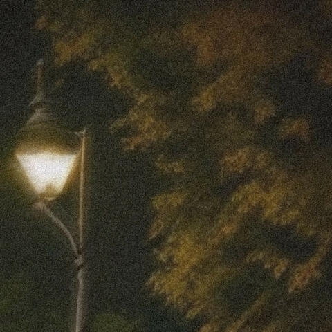everynight.v2