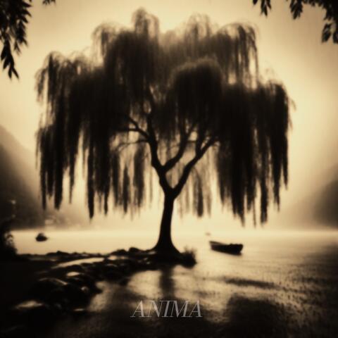 Anima