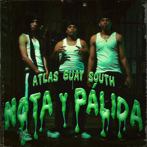 NOTA Y PÁLIDA