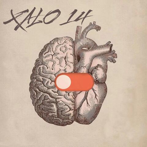 Xalo 14