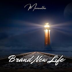 Brand New Life