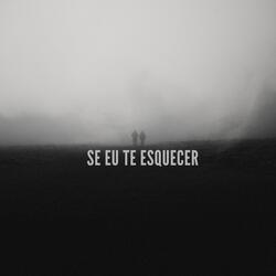 Se eu te esquecer