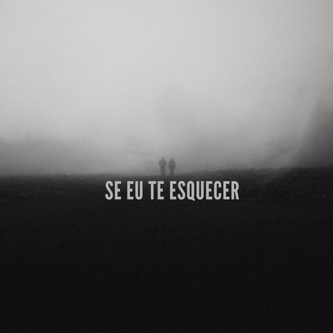 Se eu te esquecer