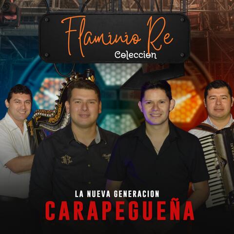 Coleccion FLAMINIO RE