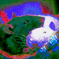 i fw rats heavy too btw