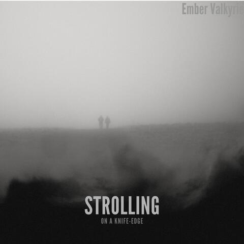 Strolling on a Knife-Edge