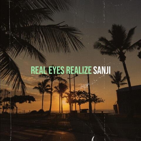 Real Eyes Realize