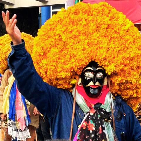 Danza de Los Tlacololeros