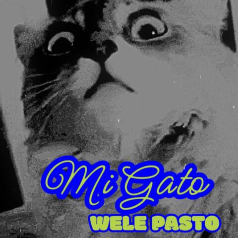 Mi Gato Wele Pasto