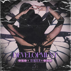 DEVELOPMENT