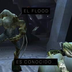 EL FLOOD ES CONOCIDO