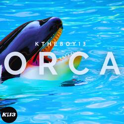 Orca