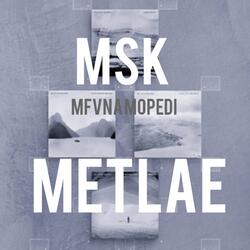 Metlae