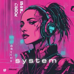 system