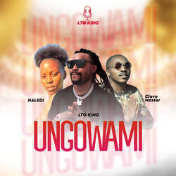 UNGOWAMI