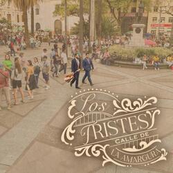 Carabobo con Zea - Bossa Triste