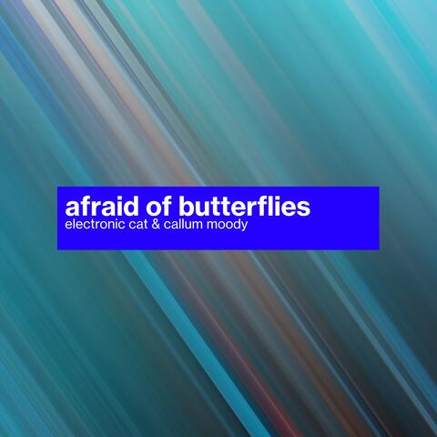Afraid of Butterflies