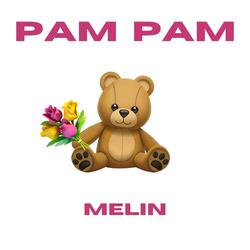 Pam Pam