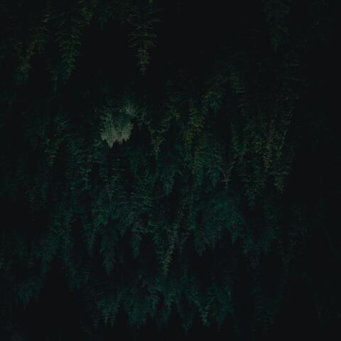 Calm