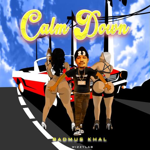 Calm Down (fujipiano)