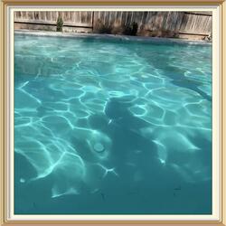 different directions