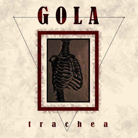 TRACHEA