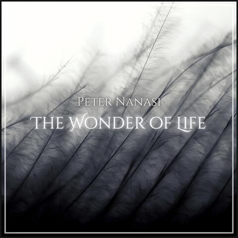 The Wonder of Life