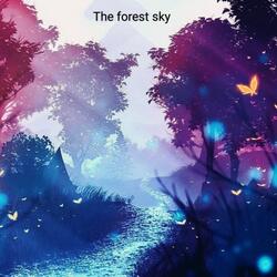The forest sky
