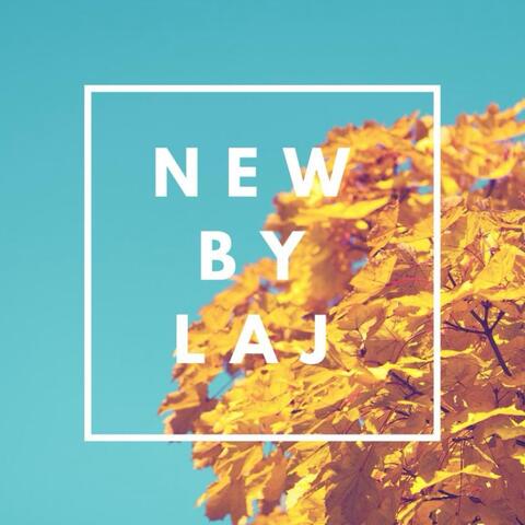 NEW