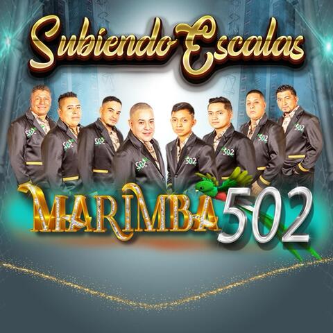 marimba 502