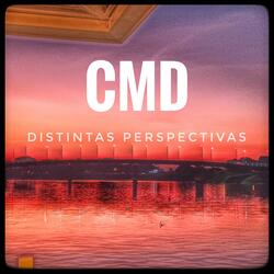 Distintas perspectivas