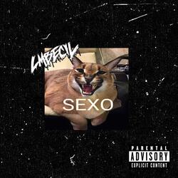 sexo