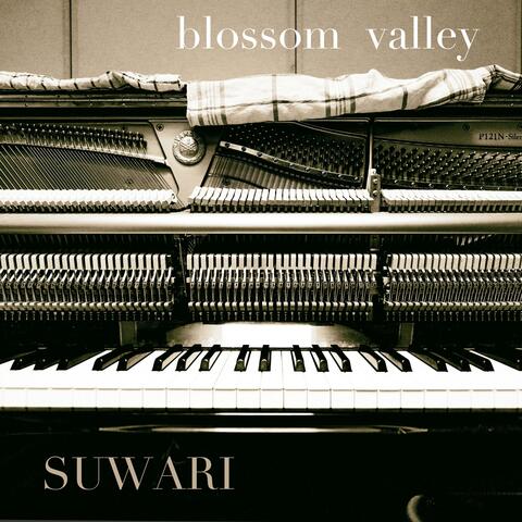 blossom valley