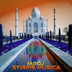 Stirpis Musica