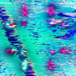 the wolf & his shadow