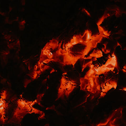 Carvão