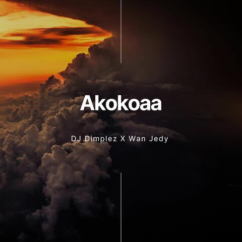 Akokoaa