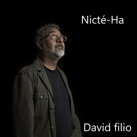 Nicté-ha