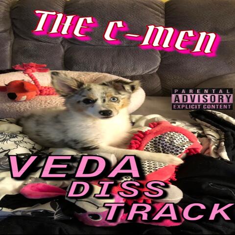 Veda Diss Track