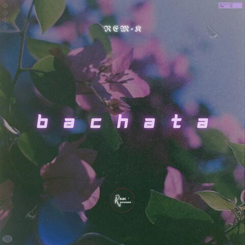 Bachata