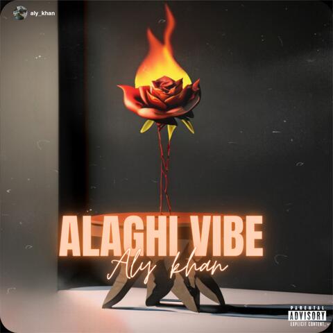 Alaghi vibe
