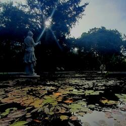 Terremotos en el cielo